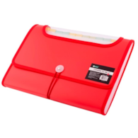 TECZKA D.RECT A4 5590 12 PRZEGRÓDEK CZERWONA