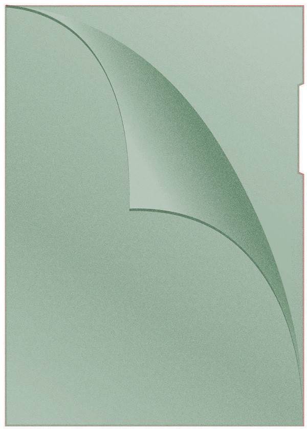 Obwoluta DONAU typu L, PP, A4, groszkowa, 120mikr., zielona