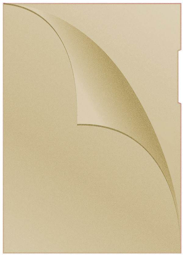 Obwoluta DONAU typu L, PP, A4, groszkowa, 120mikr.,  żółta