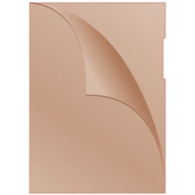 Obwoluta DONAU typu L, PP, A4, groszkowa, 120mikr., pomarańczowa