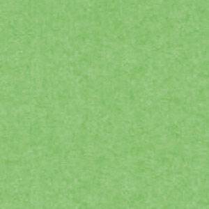 Brystol A-1 jasno zielony