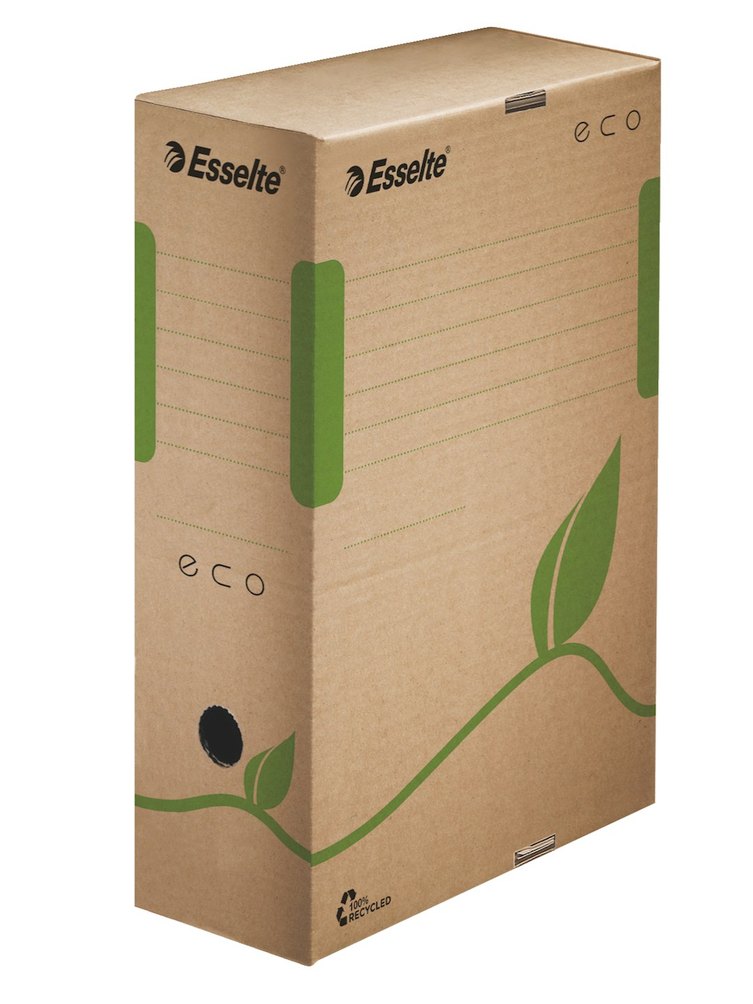 Pudło Esselte Eco, 100 mm