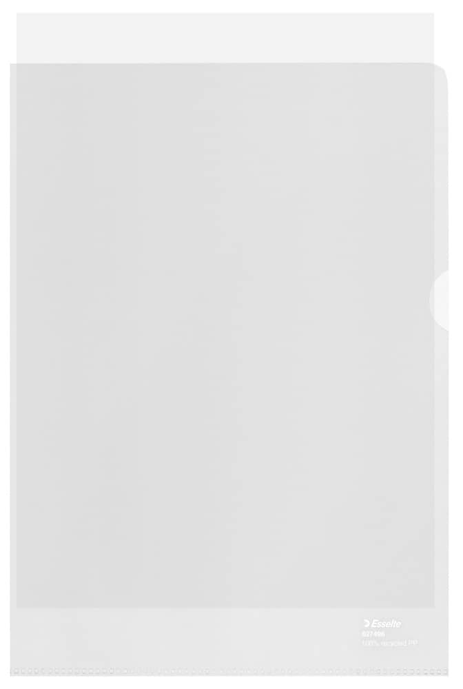 Folder groszkowy Recycled Premium PP 100 mic. A4 100 szt./pudełko