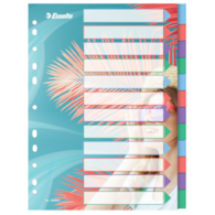 Przekładki Colour'Breeze PP A4, 12 przekładek