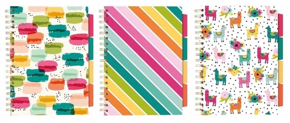 PUKKA PROJECT BOOK COLOUR WASH B5 LINIA 3SZT MIX