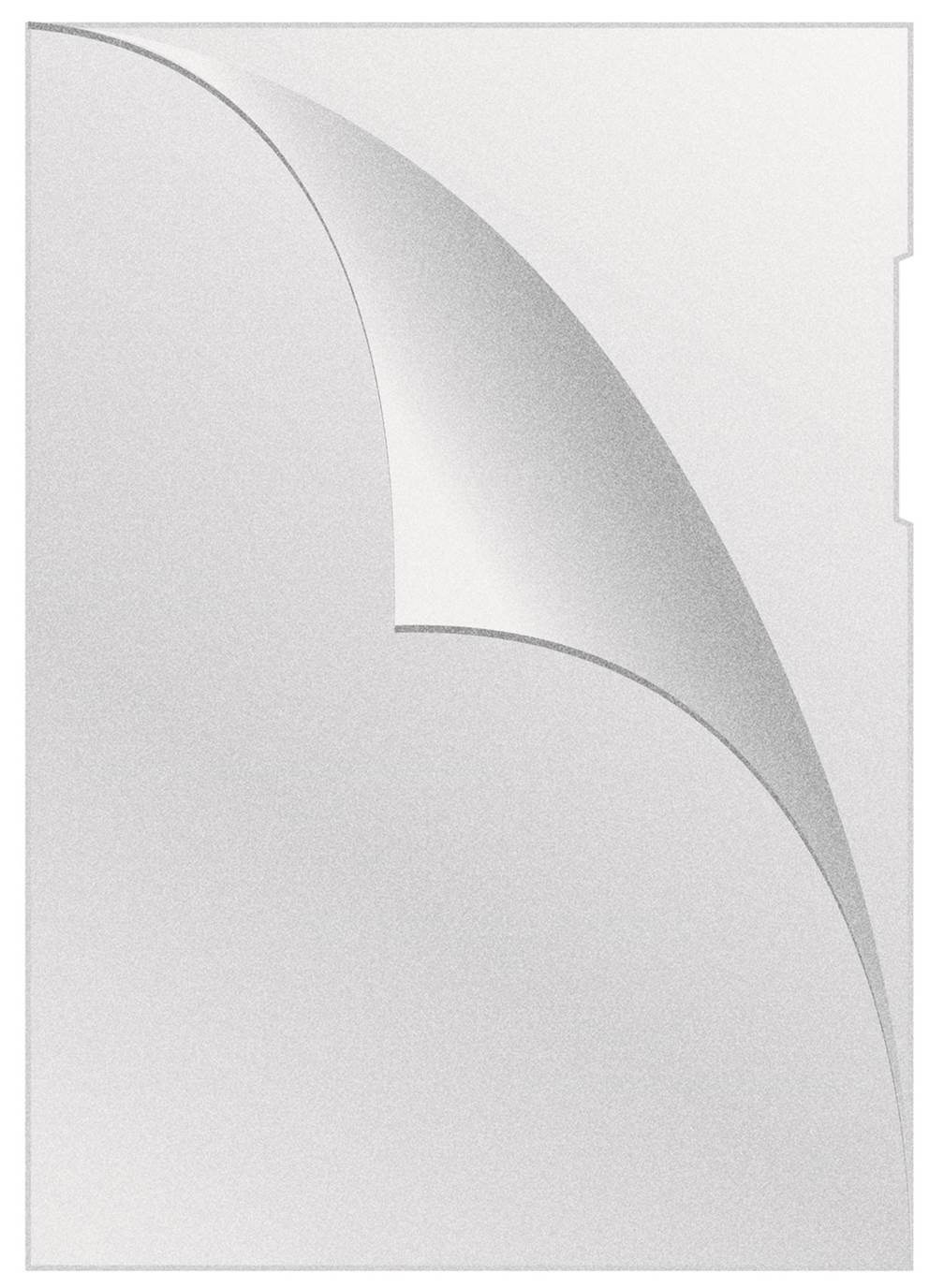 Obwoluta Q-CONNECT typu L, PP, A4, groszkowa, 120mikr., transparentna