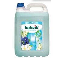 Płyn Ludwik Uniwersalny  5L  kwiat laguny