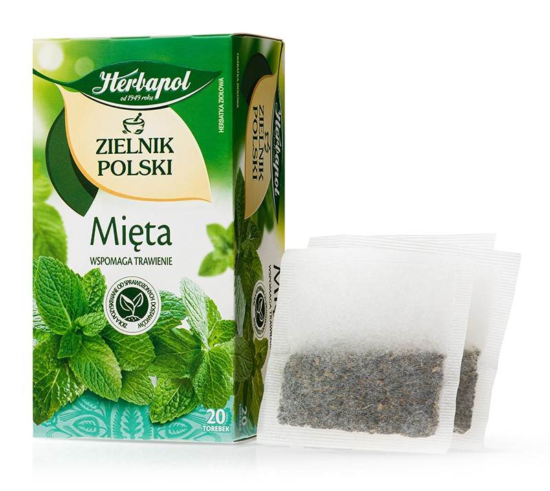 Herbata ziołowa Herbapol Zielnik Polski mięta 20 saszetek x 2 g