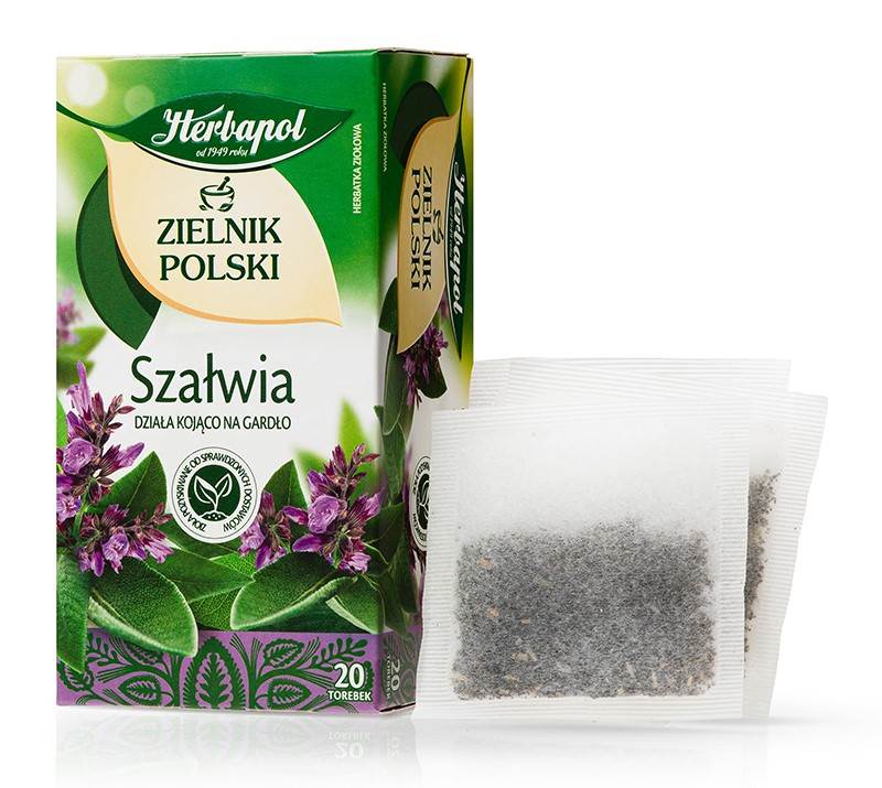 Herbata ziołowa Herbapol Zielnik Polski szałwia 20 saszetek x 1,2 g