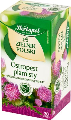 Herbata ziołowa Herbapol Zielnik Polski Ostropest 20 saszetek x 2 g