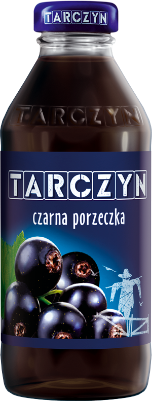 Nektar czarna porzeczka Tarczyn 300 ml