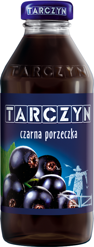 Nektar czarna porzeczka Tarczyn 300 ml
