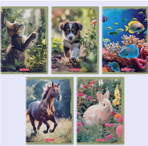 ZESZYT 16k/A5 KR ANIMALS