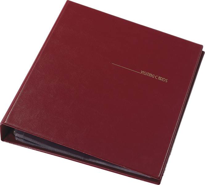 WIZYTOWNIK 400 WINYL BORDO Panta Plast