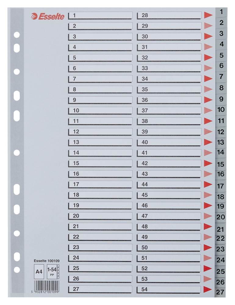 Przekładki plastikowe szare  PP numeryczne A4 Esselte, 1-54