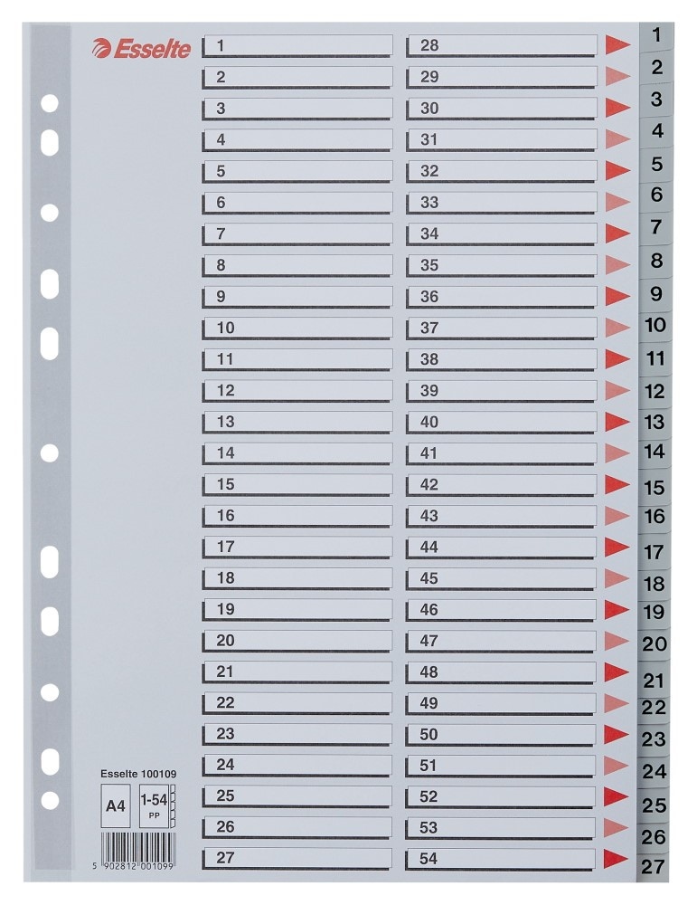 Przekładki plastikowe szare  PP numeryczne A4 Esselte, 1-54