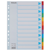 Przekładki, kolorowy karton z kartą opisową A4, Esselte, 12 kart