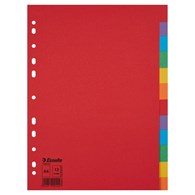 Przekładki, kolorowy karton bez karty opisowej A4, 12 kart