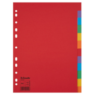 Przekładki, kolorowy karton bez karty opisowej A4, 12 kart