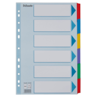 Przekładki, kolorowy karton, karta opisowa Mylar A4, Esselte, 6 kart