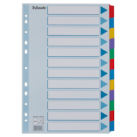 Przekładki, kolorowy karton, karta opisowa Mylar A4, Esselte, 12 kart