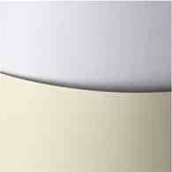 Karton Gładki 250g biały