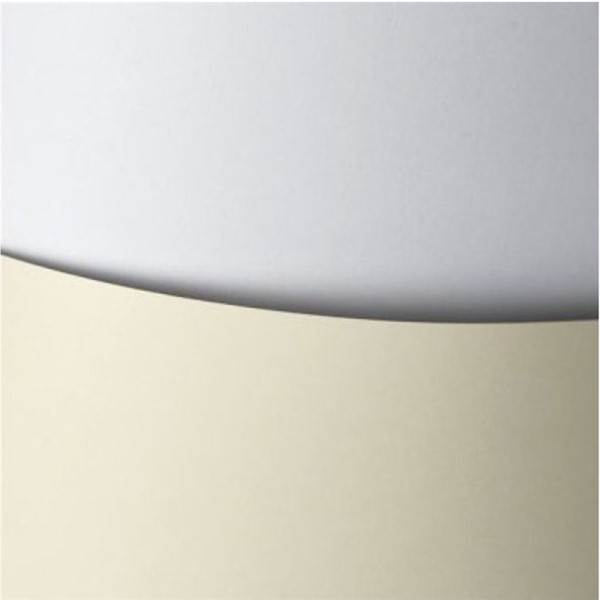 Karton Gładki 250g biały