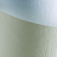 Karton Skóra kremowy