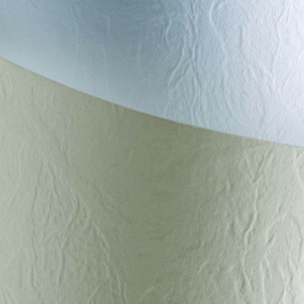 Karton Skóra kremowy