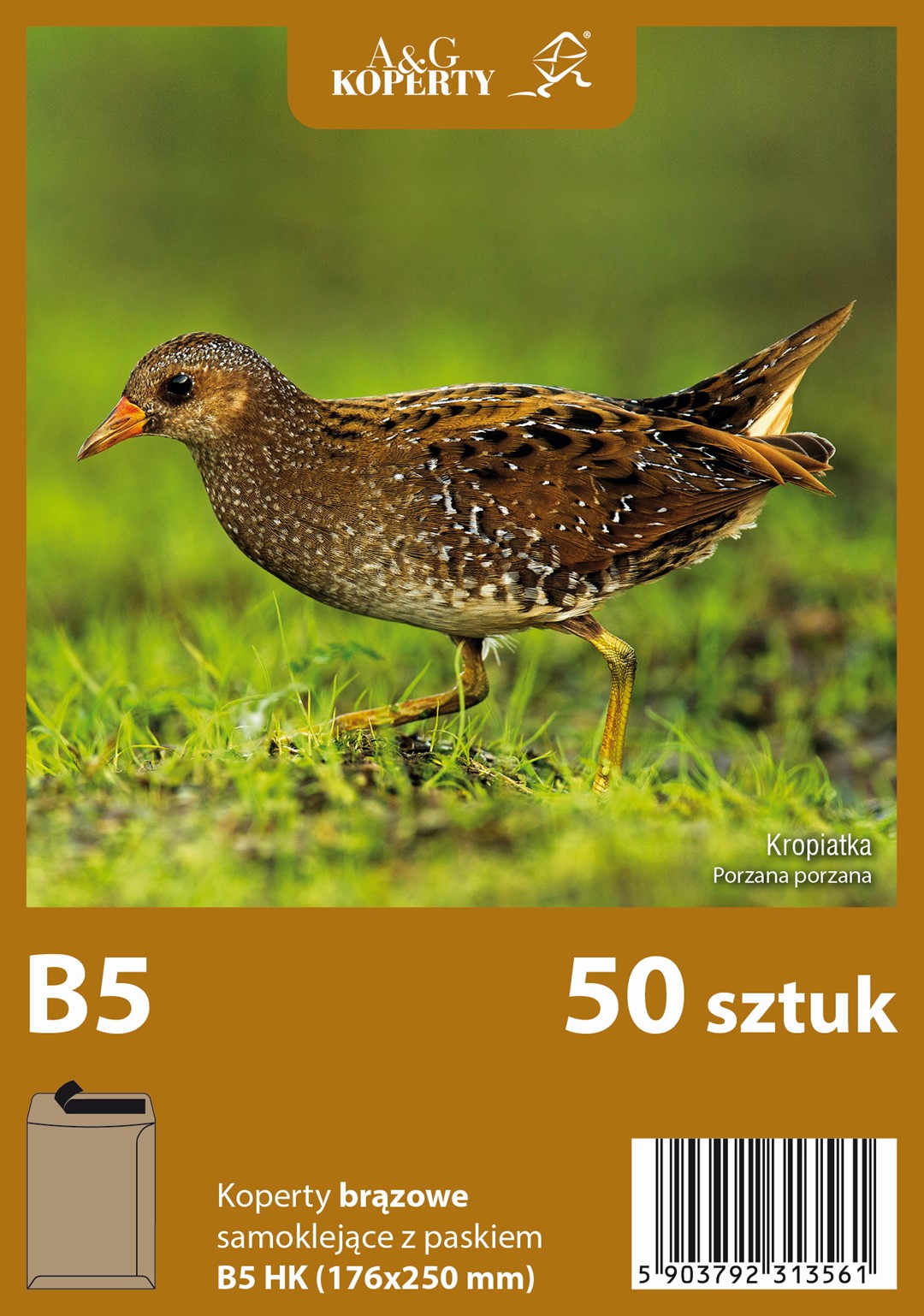 Koperty brązowe B5 HK (176 x 250 mm) 50 szt.