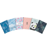 ZESZYT DO SŁÓWEK TOP 2000 MEGAMIX A6 16K 70G K5X5