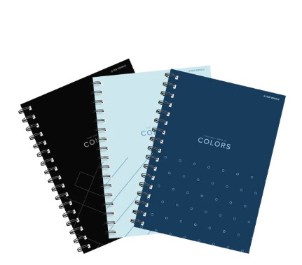 Kołonotatnik A6/100 kratka   TOPCOLORS 400169231