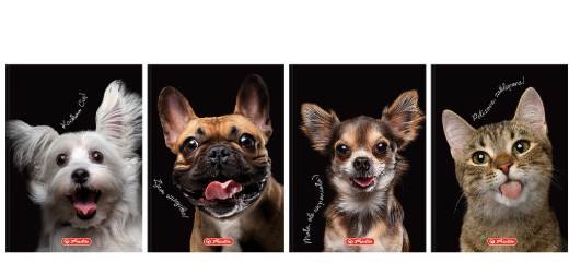 BRULION HER  TOP CRAZY ANIMAL SZY A6 80K 70G K5X5 MIX