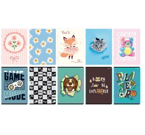 ZESZYT TOP 2000 BASIC A5/16K LINIA PODWÓJNA KOLOROWA