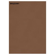 Karton kolorowy, Brązowy, B1 (70x100 cm), gramatura 230 g/m2 Typograf