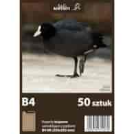 Koperty brązowe B4 HK (250 x 353 mm) 50 szt.