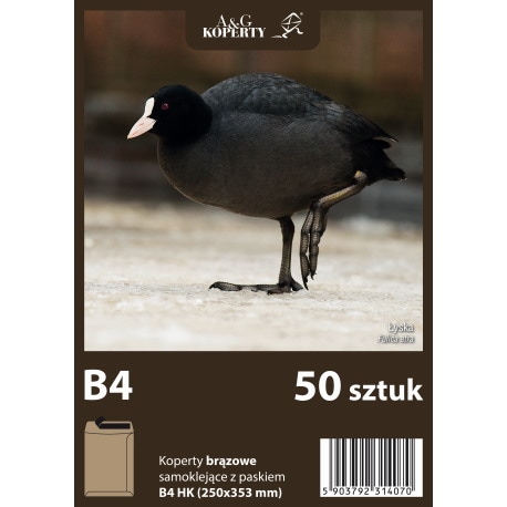 Koperty brązowe B4 HK (250 x 353 mm) 50 szt.