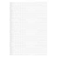 Papier kancelaryjny A3 kratka/100 400169246