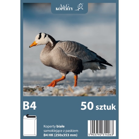 Koperty białe B4 HK (250 x 353 mm) 50 szt.