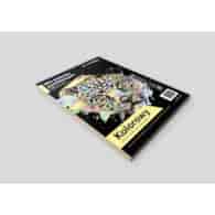 Papier kolor A4 80g mix pastel Emerson 100ark