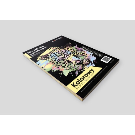 Papier kolor A4 80g mix pastel Emerson 100ark