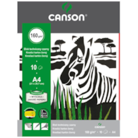 Blok techniczny A4 czarny Canson 160g 10ark