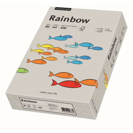 Papier ksero szary A4/80g 500 arkuszy Rainbow