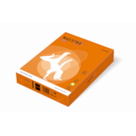 Papier ksero pomarańczowy A4/160g 250 ark. Maestro Intensive