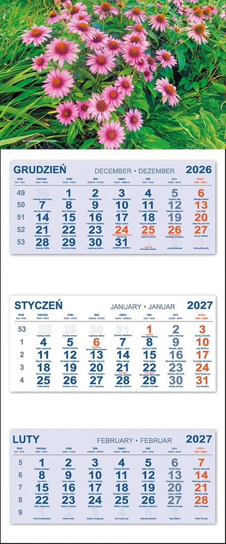 Kalendarz Trójdzielny 2027 KWIATKI