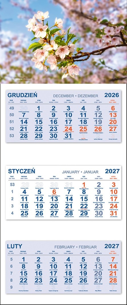Kalendarz Trójdzielny 2027 KWIAT WIŚNI