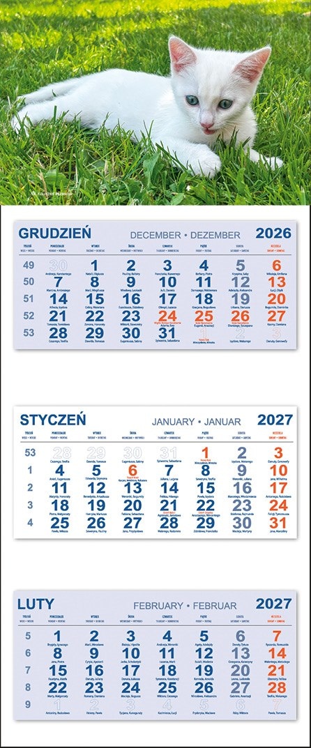Kalendarz Trójdzielny 2027 KOTEK