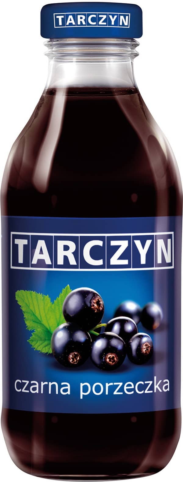 Nektar czarna porzeczka Tarczyn 300 ml 15szt